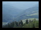 [ph0121.mov]