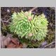 DSCN0572.JPG