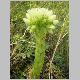 DSCN0574.JPG