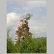 DSCN0580.JPG