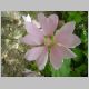 DSCN0584.JPG