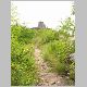 DSCN0596.JPG