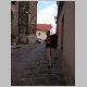 DSCN0930.JPG