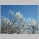 dscn2231.jpg