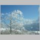 dscn2233.jpg