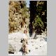 08samaria2.jpg