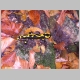 DSCN1321.JPG