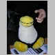 dscn1636.jpg