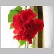 DSCN0320.JPG