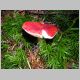 DSCN1077.JPG