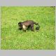DSCN0458.JPG